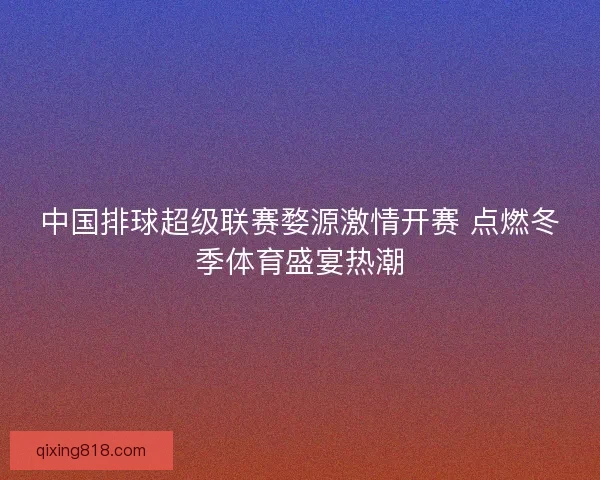 中国排球超级联赛婺源激情开赛 点燃冬季体育盛宴热潮 中国排球超级联赛婺源激情开赛 点燃冬季体育盛宴热潮